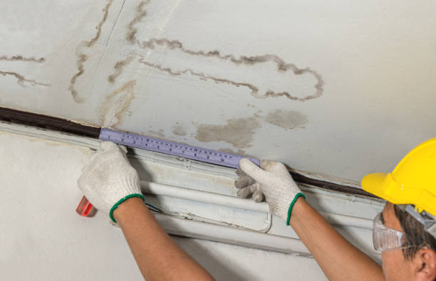Reliable Water Damage contractor in Port Costa, CA by Water Damage Irwin